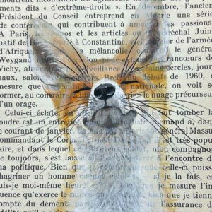 andrea mARTinek Buchbild: lächelnder Fuchs