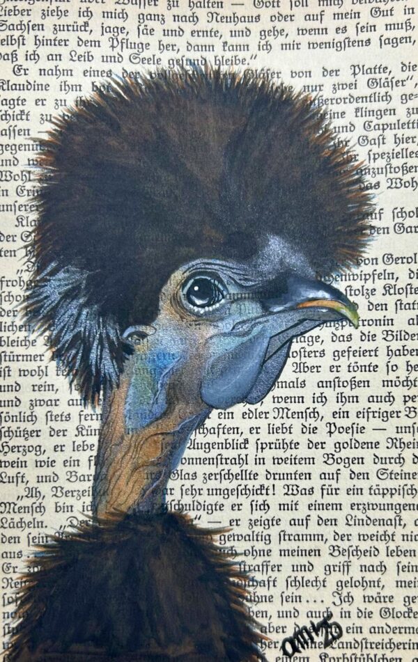 Showgirl Seidenhuhn