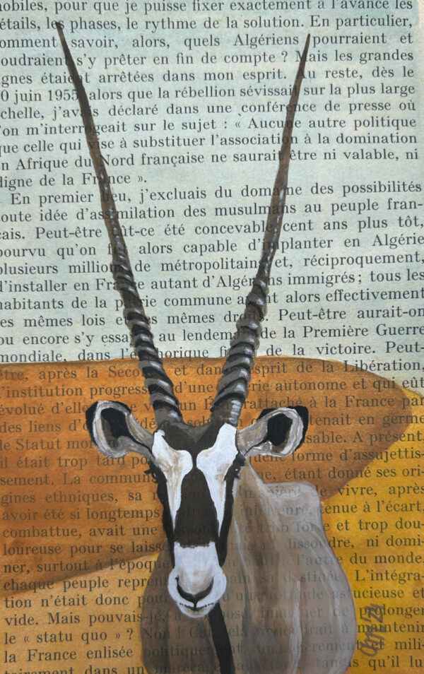 Spießbock