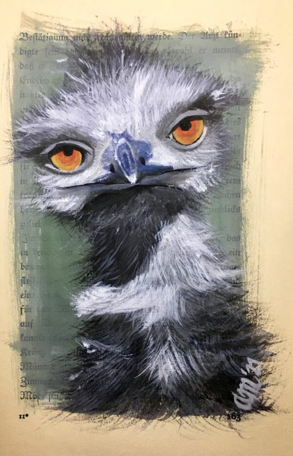 Verliebter Emu